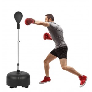 كرة الملاكمة الاحترافية