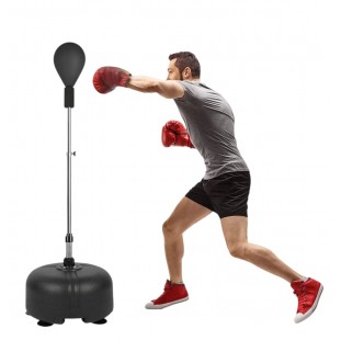 كرة الملاكمة الاحترافية